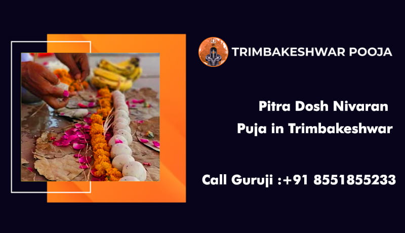Pitra Dosh Nivaran Puja in Trimbakeshwar