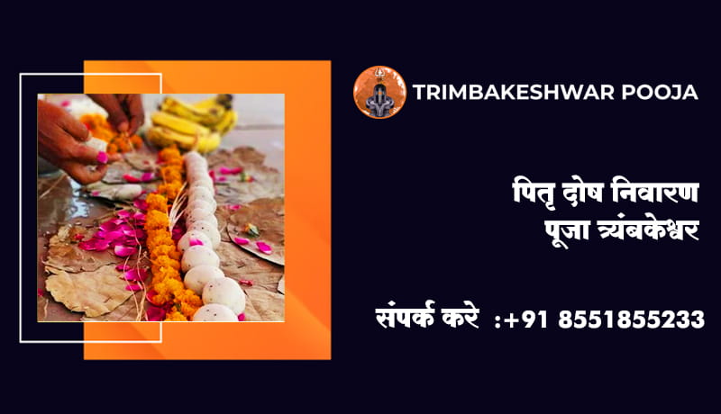 पितृ दोष निवारण पूजा त्र्यंबकेश्वर